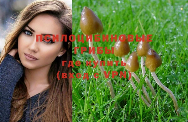 MDMA Premium VHQ Беломорск