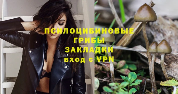 ГАЛЛЮЦИНОГЕННЫЕ ГРИБЫ Белоозёрский