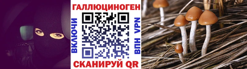 Псилоцибиновые грибы мухоморы  omg ССЫЛКА  Краснокаменск 